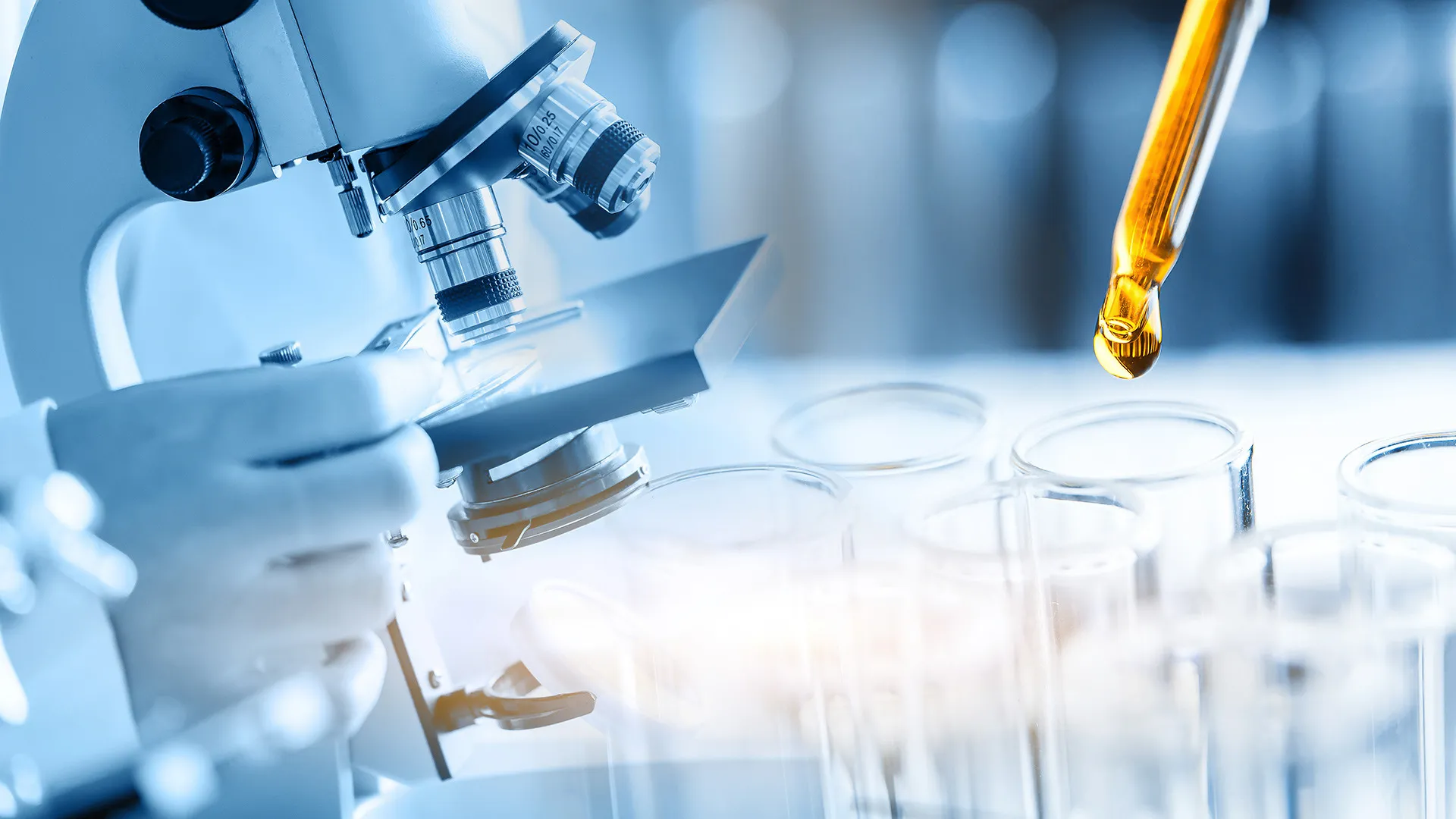 I.S.C.Lab.株式会社